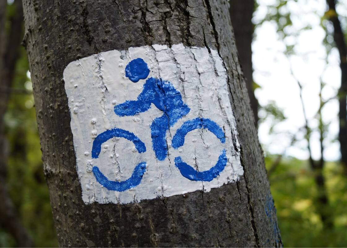 Symbolbild: Neue Radverkehrskonzepte im Landkreis.